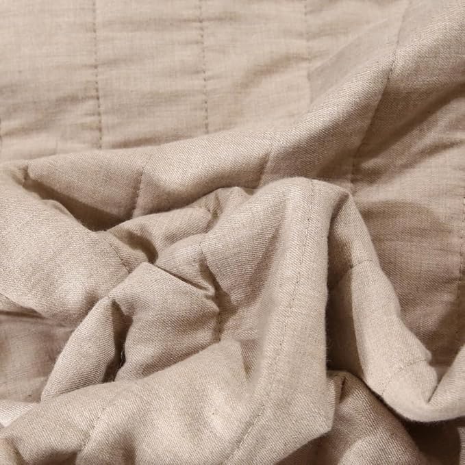 Quilt Set Floral Leaves 3D Embroidery Pattern 2 PCS Cotton Reversible Quilted Embroidered Decorative Bedspreads Coverlet Set, Lightweight &Soft Queen Size Beige Bedding Coverlet for All Season