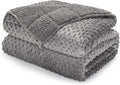Minky Dot Weighted Blanket for Adults Queen Size 20 lbs, Soft Cozy Heavy Blanket for Stress Relief and Sleep Promotion, Warm Blanket for Autumn Winter with Glass Beads, Grey 60 x 80 inches