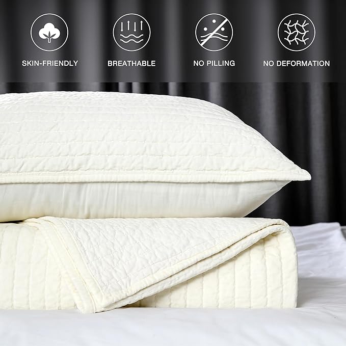 ELEGANT LIFE HOME Velvet Quilt Queen Reversible Royal Cotton Velvet Pic-Stitch Bedding Quilt - Queen - 88''x 92'', Ivory