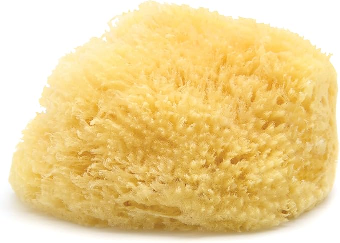 Neptune Sea Wool Sponge – Natural Mediterranean Bath Sponge, Hand-Cut, Extra-Large, Approx. 8-9", Gentle Exfoliation for Body & Skincare