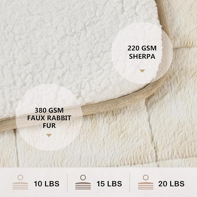 Homemate Heated Weighted Blanket for Adults - 62"x84" 20lbs Electric Throw Fast Heating Heavy Blanket 1/2/4/6/8 Hour Auto Off 10 Heat Levels Over-Heat Protection Luxury Faux Fur Sherpa