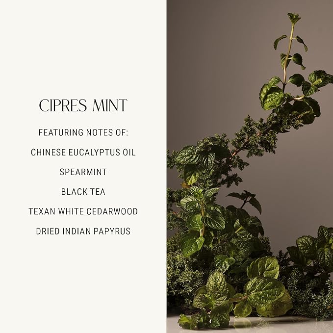 Homecourt Room Deodorant, Natural Room Spray, Fragrance of Spearmint & Cedarwood, For Kitchen, Bathroom & more, Clean Formula, Cipres Mint, 3.4 oz