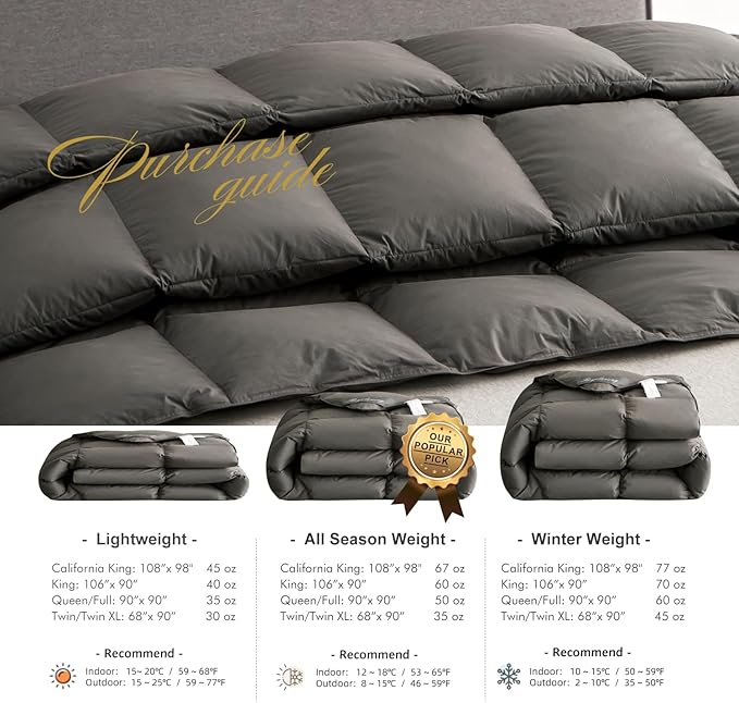 Royoliving Premium Feathers Down Duvet Insert Comforter California King Size Charcoal Grey All Season Medium Warmth 100% Cotton Cover with Corner Tabs (108x98, 67 oz)