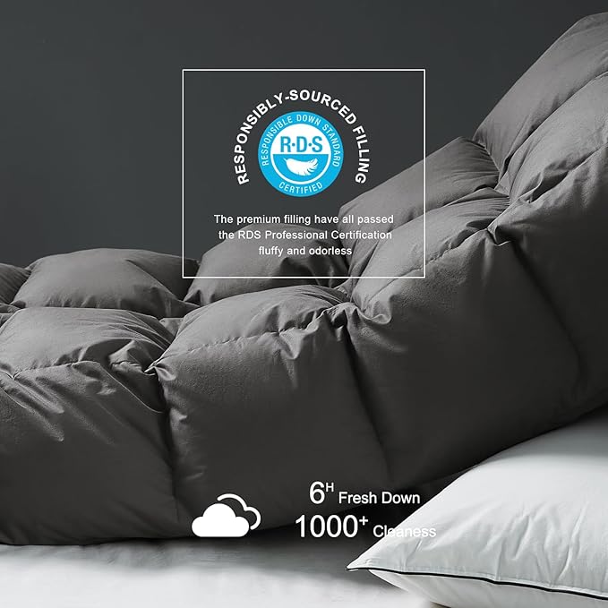 Royoliving Premium Feathers Down Duvet Insert Comforter California King Size Charcoal Grey All Season Medium Warmth 100% Cotton Cover with Corner Tabs (108x98, 67 oz)