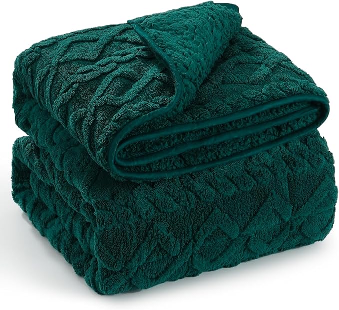 Wemore Weighted Blanket for Adults Twin Size 20 lbs, Dual Sided Soft Fuzzy Jacquard Sherpa Weighted Blankets for Sleeping, Cozy Fluffy Knitted Heavy Blanket for Couch Bed, Green, 60 x 80 inches