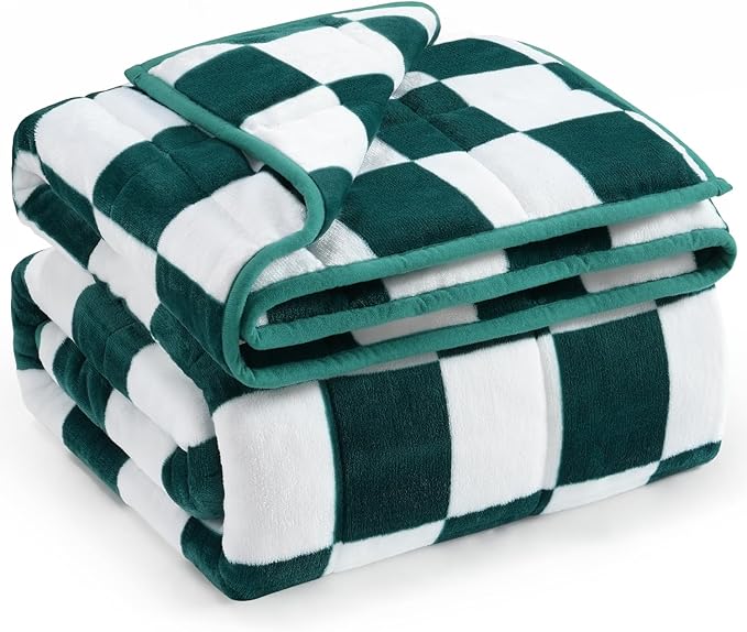 Wemore Flannel Fleece Weighted Blanket for Adult Queen Size 15 lbs, Dual Sided Luxurious Checkerboard Grid Heavy Blankets, Ultra Soft Throw Blanket, Plaid Green, 60 x 80 inches