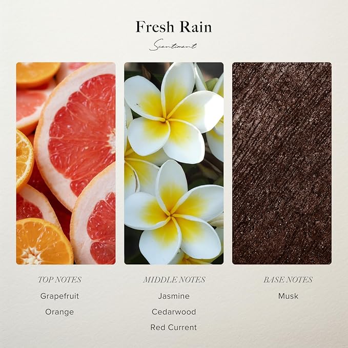 Scentiment Diffuser Oil - Fresh Rain | Aromatherapy Home Fragrance |Inspired by Luxury Five Star Hotels | Luxurious Scent with Notes of Fresh Grapefruit and Crisp Red Currant (50 mL)