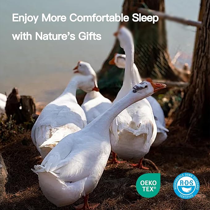 Goose Down Fiber Oversized King Size, 100% Cotton Luxurious Hotel Duvet Insert for All Season, Fluffy and Cozy with 8 Corner Tabs Medium Warmth 120 x 98 Inch White