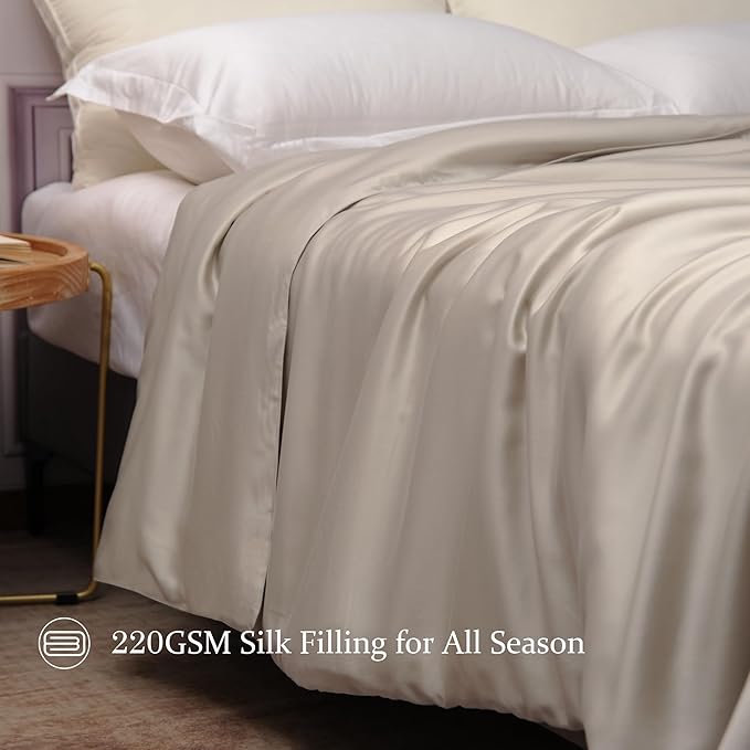 CUDDLE DREAMS Silk Filled Comforter for All Season, Detachable Tencel Duvet Cover for Easy Care, Naturally Breathable (Light Pewter, Twin)
