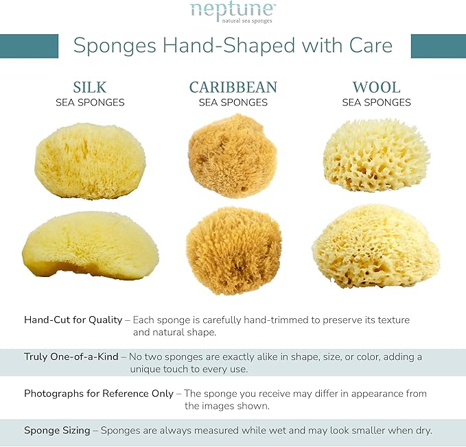 Neptune Sea Wool Sponge – Natural Mediterranean Bath Sponge, Hand-Cut, Extra-Large, Approx. 8-9", Gentle Exfoliation for Body & Skincare