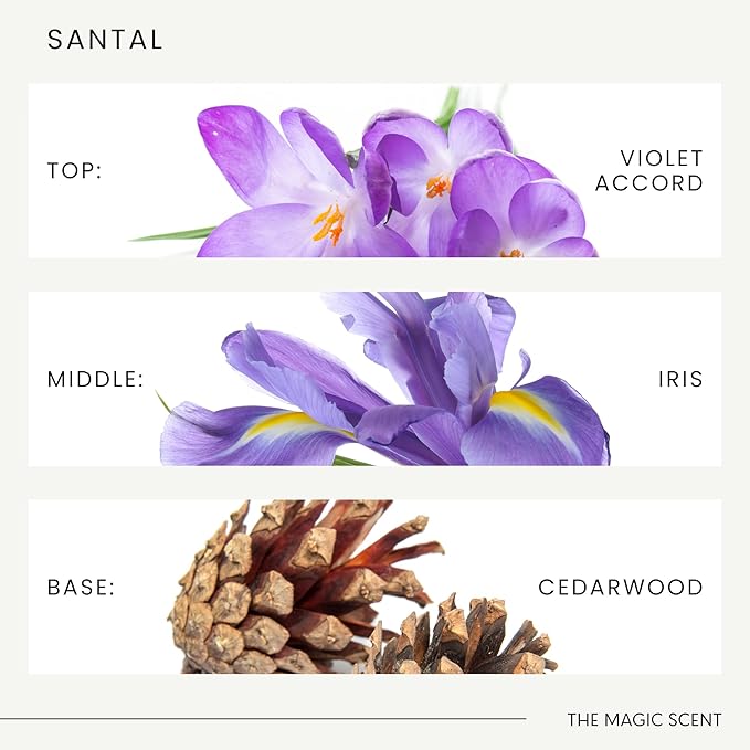 The Magic Scent Santal Fragrance Oil - Diffuser Oil Scent - Santal Aroma Diffuser Oils - Luxury Scents for Home - Sandalwood Oil - 8.5 fl oz, 250 mL