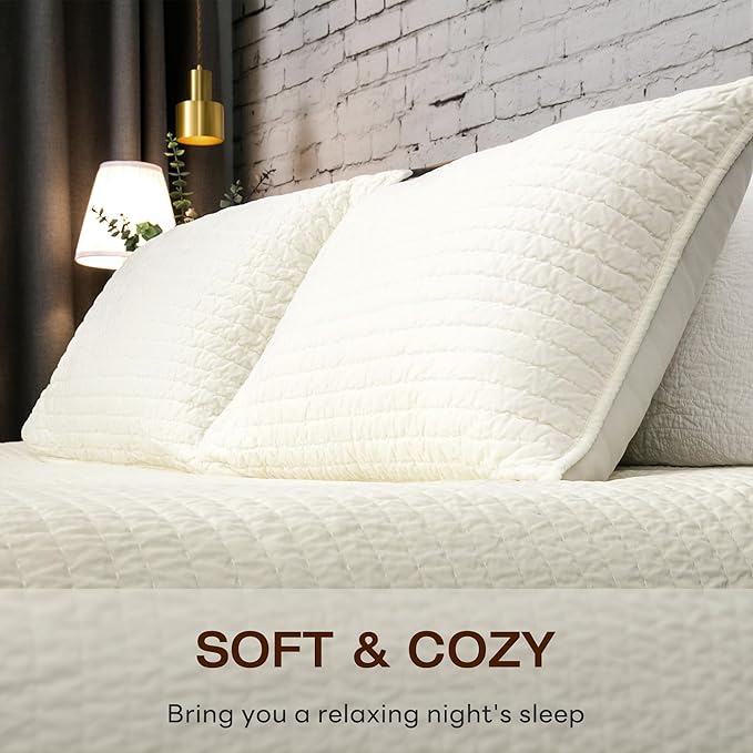 ELEGANT LIFE HOME Velvet Quilt Queen Reversible Royal Cotton Velvet Pic-Stitch Bedding Quilt - Queen - 88''x 92'', Ivory