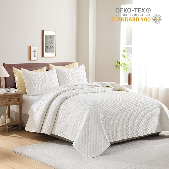 HORIMOTE HOME Cream Quilt Queen Size, Lightweight Quilt for Summer Ultra-Soft Microfiber Modern Style Quilted Clouds Pattern Bedspread Quit Set 3 Pieces(1 Quilt and 2 Pillow Shams)