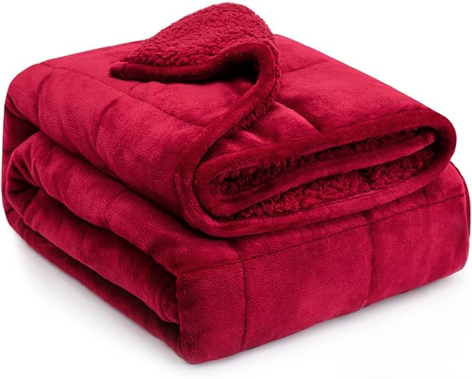 Lofus Weighted Blanket for Adults(20 lbs, 60" x 80"), Queen Size Heavy Blanket Machine Washable, Soft Weighted Blankets for Stress Relief and Sleep Promotion,Burgundy