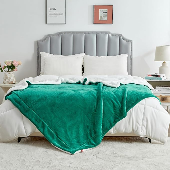 SOCHOW Sherpa Fleece Throw Blanket, Double-Sided Super Soft Luxurious Plush Blanket Twin Size, Malachite Green, 60x80 inches