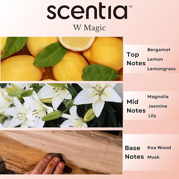 Scentia W Magic Hotel Diffuser Oil Inspired by W Signature Hotel - 20 mL 0.67 fl oz - Aromatherapy Oil for Diffusers, Candle Making & DIY Crafts - Thanksgiving & Holiday Gift