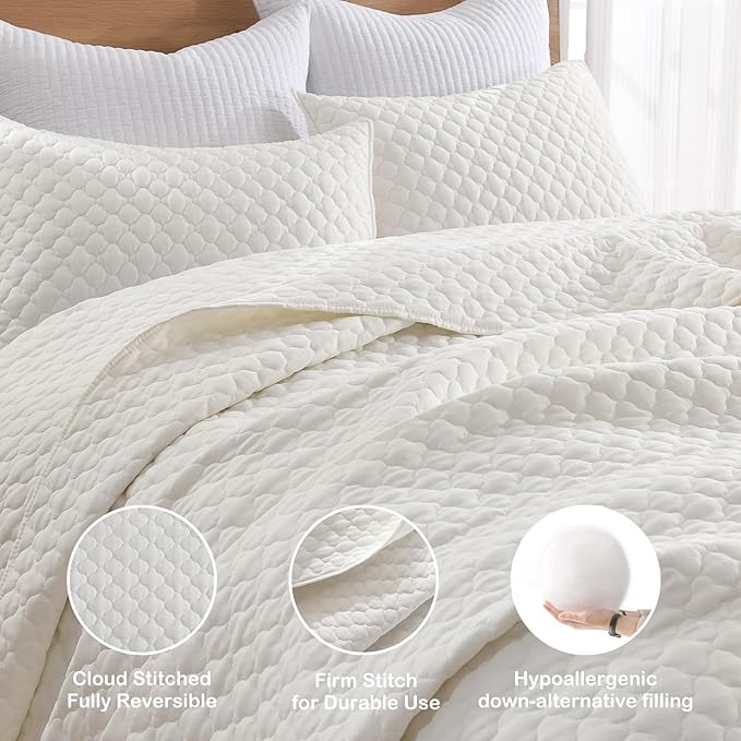 HORIMOTE HOME Cream Quilt Queen Size, Lightweight Quilt for Summer Ultra-Soft Microfiber Modern Style Quilted Clouds Pattern Bedspread Quit Set 3 Pieces(1 Quilt and 2 Pillow Shams)