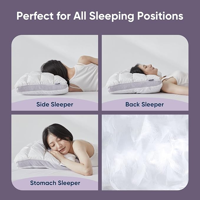 Vesta Hungarian Down Low Loft Pillow, 95% Goose Down Core, Baffle Boxe Design for Optimal Fluffiness, Ideal for Back & Stomach Sleepers, Low to Medium Profile (3.5" Height) & Soft - PlumZen