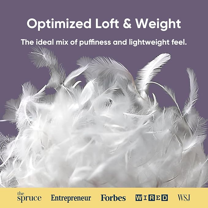 Vesta Hungarian Down Low Loft Pillow, 95% Goose Down Core, Baffle Boxe Design for Optimal Fluffiness, Ideal for Back & Stomach Sleepers, Low to Medium Profile (3.5" Height) & Soft - PlumZen