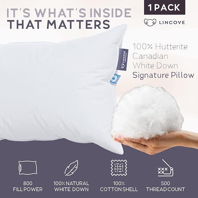 Lincove Signature 100% Natural Canadian White Down Pillow - Luxury Sleeping Pillow for Back, Stomach & Side Sleepers - 800 Fill Power Bed Pillow, 500 Thread Count, Made in Canada, King - Firm, 1 Pack