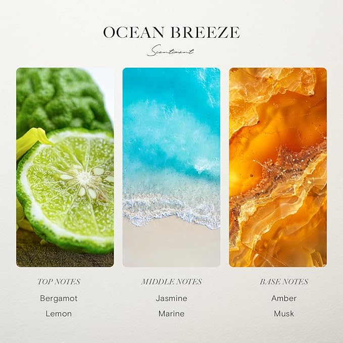Scentiment Diffuser Oil - Ocean Breeze | Inspired by Five Star Hotels' Lobby Scent | Luxurious Scent with Notes of Bergamot, Lemon, Jasmine with Marine & Amber (500ml)