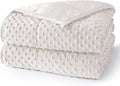 Minky Dot Weighted Blanket for Adults Queen Size 15 lbs, Soft Cooling Heavy Breathable Blanket for All-Season, Washable Weighted Throw with Glass Beads, 60 x 80 Inches, Cream