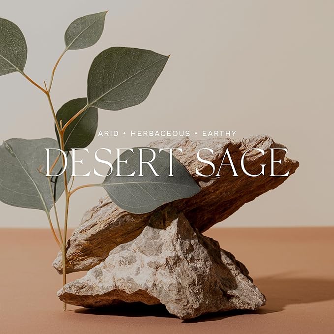 Antica Farmacista Home Ambiance Diffuser - Long-Lasting Reed Scent Diffuser - Luxury Room Freshener Gift - Desert Sage, 8.45 fl oz