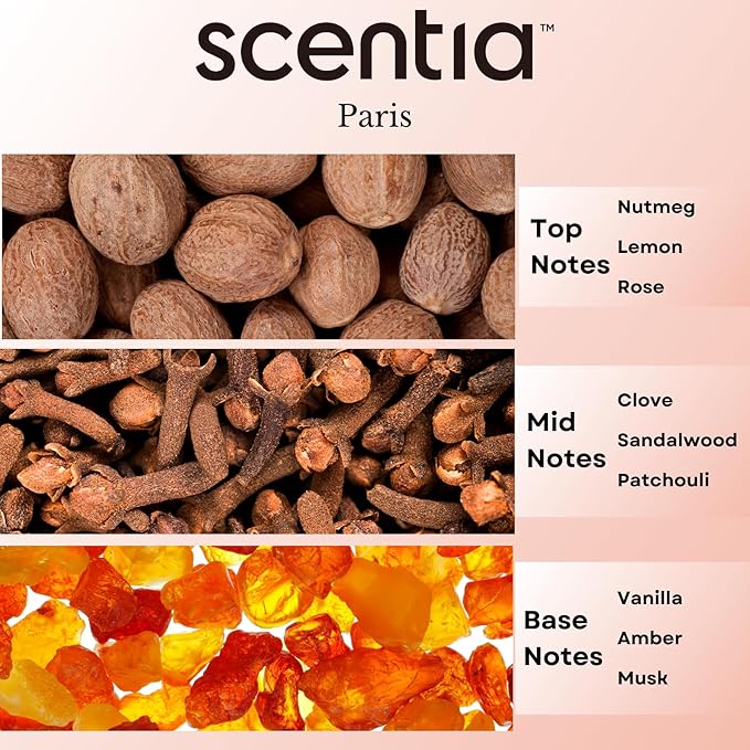 Scentia Hotel Diffuser Oil Inspired by The Hotel Costes Paris - 20 mL 0.67 fl oz - Fragrance Oil Blend Rose, Clove & Sandalwood for Aromatherapy Diffuser & Humidifiers - Paris, Thanksgiving Gift