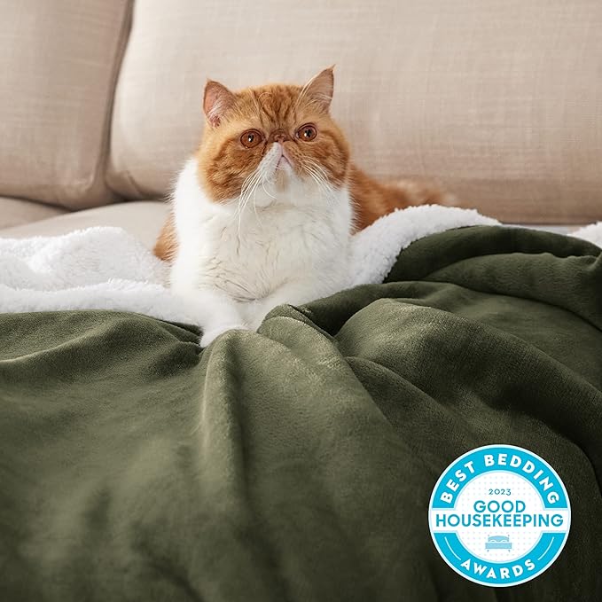 Bedsure GentleSoft Sherpa Fleece Blankets Queen Size for Bed - Thick and Warm Throw for Women and Men, Soft Fuzzy Plush Queen Blanket for Winter, Olive Green, 90x90 Inches