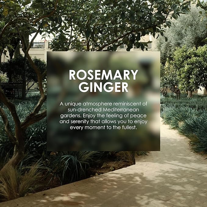 Jean & Len Melting Moisture Body Treatment Rosemary & Ginger, for a fragrant care result, for normal skin, nourishing body butter, without parabens & silicones, 6.76 Fl. Oz.