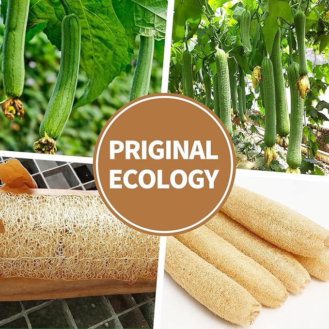 Natural Shower Loofah Sponge Exfoliating Body Scrubber，Natural Organic Beauty Exfoliating Loofah for Men and Women, Suitable for Cleansing Face Scrubber and Body Bath 2PCS (1 Small + 1 Large)