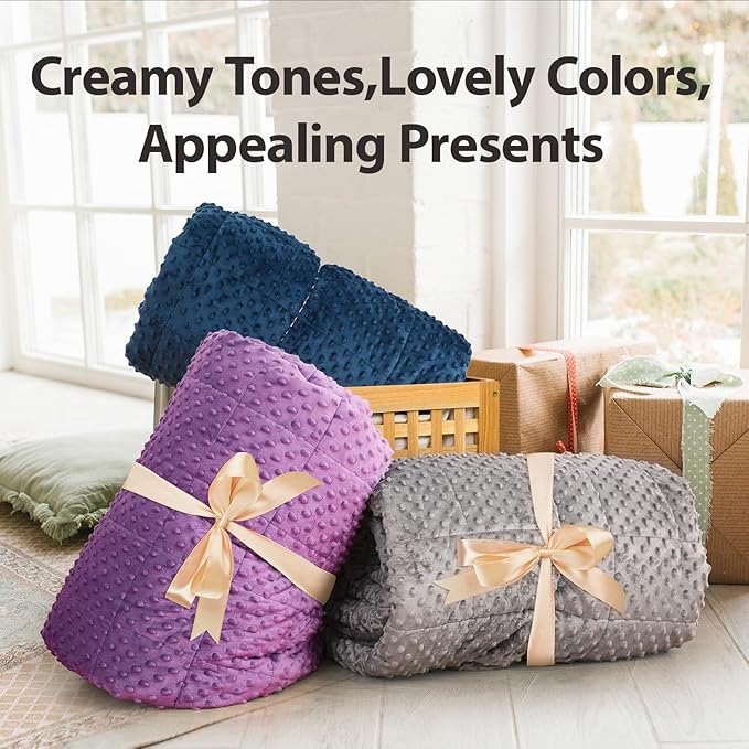 Minky Dot Weighted Blanket for Adults Twin Size 12 lbs, Warm Sherpa Snuggle Heavy Blanket for Autumn Winter with Glass Beads, Great for Stress Relief and Sleep Promotion, Grey 48 x 72 inches