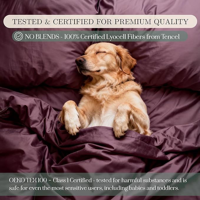 CASILVA Eucalyptus Sheets - Infused with Silver for Anti-Odor, Softer Than Silk Fibers, More Cooling Than Cotton - Perfect for Hot Sleepers & Sensitive Skin - 100% Tencel Lyocell - King Sheet Set