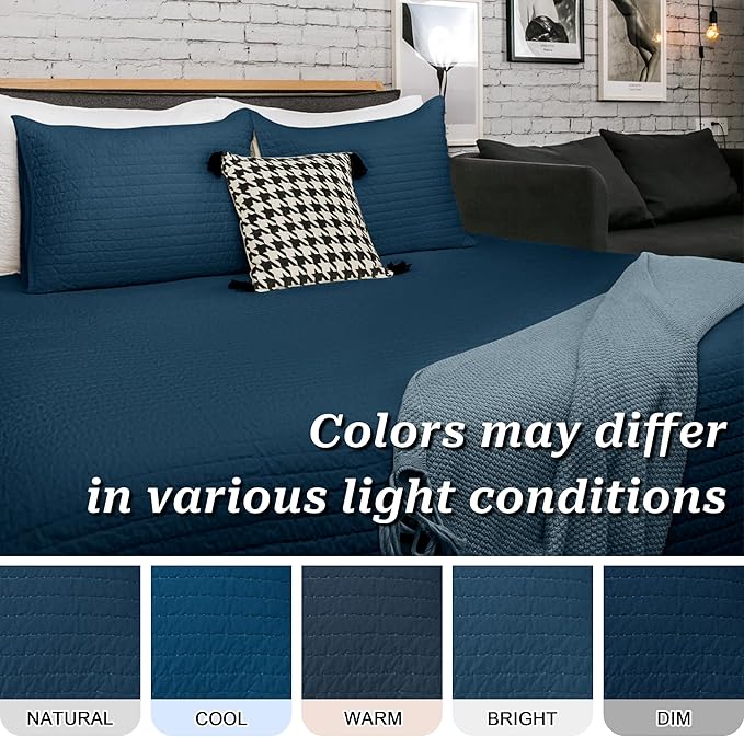 ELEGANT LIFE HOME Dark Gray Velvet Quilt Queen Reversible Royal Cotton Velvet Pic-Stitch Bedding Quilt - Queen - 88''x 92'', Navy