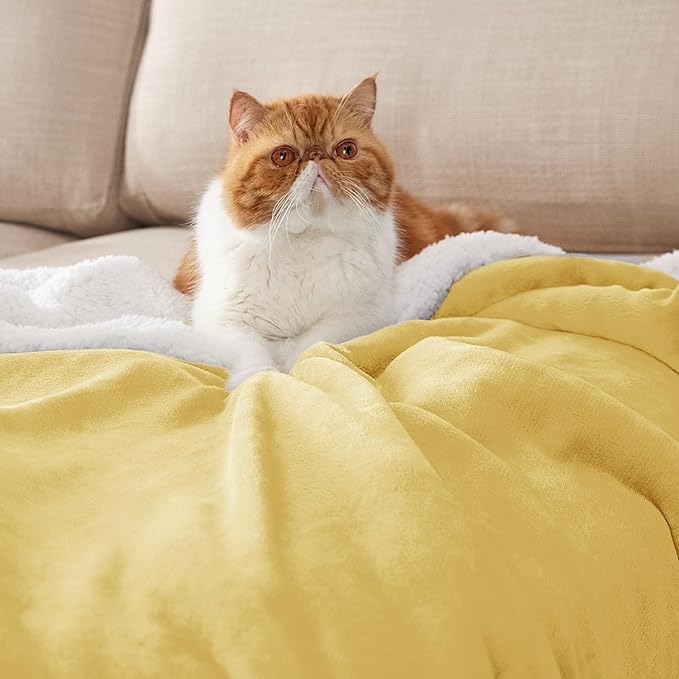Bedsure GentleSoft Sherpa Fleece Blankets Queen Size for Bed - Thick and Warm Throw for Women and Men, Soft Fuzzy Plush Queen Blanket for Winter, Yellow, 90x90 Inches