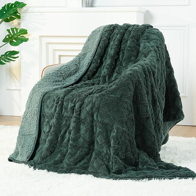 Sherpa Fleece Adult Weighted Blanket Great for Sleep, 20 lbs Dual Sided Soft Fuzzy Heavy Blankets for Couch Bed Sofa, Cozy Warm Fluffy Jacquard Throw for Winter (Green, 60" x 80", 20 Pounds)