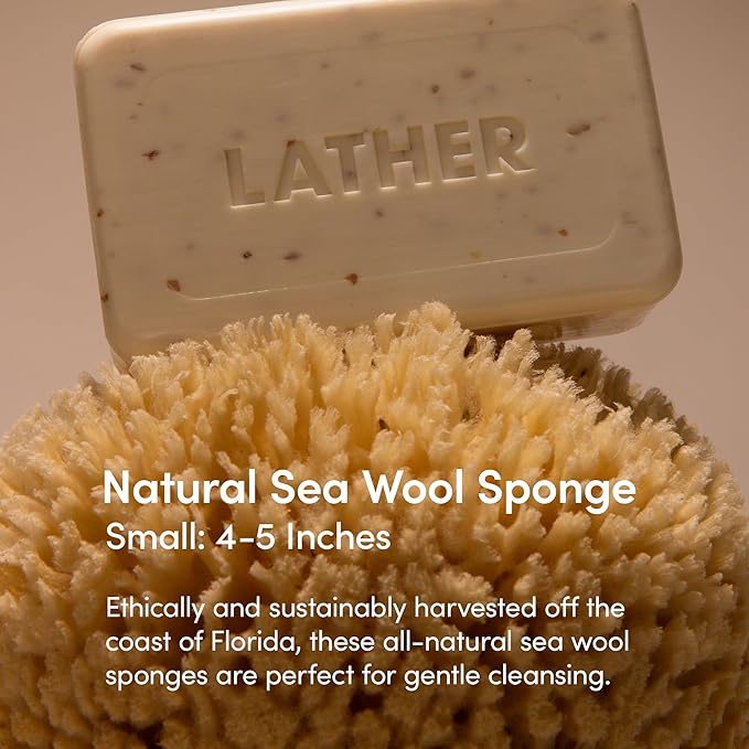 LATHER - Natural Sea Wool Sponge, 4-5" - Organic Exfoliating Body Scrubber - Soft, Gentle Cleansing - Hypoallergenic - All Skin Types - Florida Natural Loofah Sponge - Cruelty Free - Beauty & Skincare