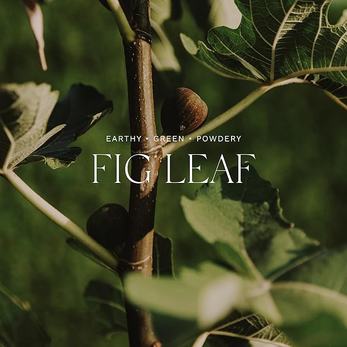 Antica Farmacista Luxury Scent Candle - Decorative Home Candle - Long-Lasting & Premium Scented - Luxury Gift - Fig Leaf, 9 oz