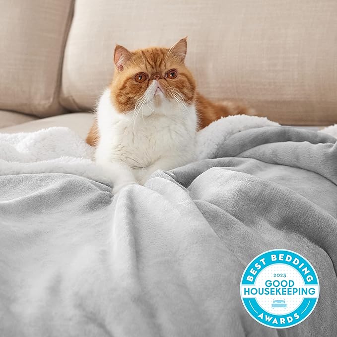 Bedsure GentleSoft Sherpa Fleece Blankets Queen Size for Bed - Thick and Warm Throw for Women and Men, Soft Fuzzy Plush Queen Blanket for Winter, Light Grey, 90x90 Inches