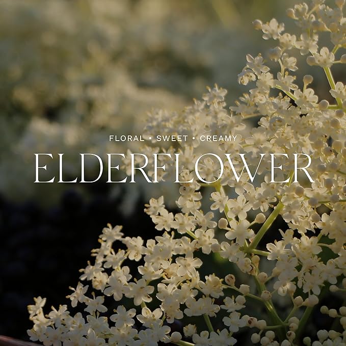 Antica Farmacista Three-Wick Candle - Decorative Home Candle - Long-Lasting & Premium Scented - Luxury Gift - Elderflower, 25 oz