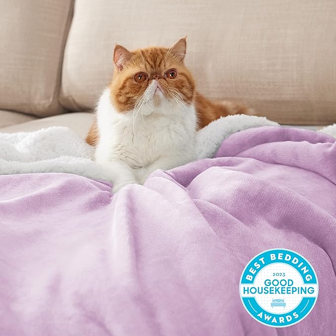 Bedsure GentleSoft Sherpa Fleece Throw Blanket Twin Size for Couch - Thick and Warm Throw for Girls and Women, Soft Fuzzy Plush Twin Blanket for Winter, Lilac, 60x80 Inches