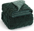 Wemore Weighted Blanket for Adults Twin Size 20 lbs, Dual Sided Soft Fuzzy Jacquard Sherpa Weighted Blankets for Sleeping, Cozy Fluffy Knitted Heavy Blanket for Couch Bed, Dark Green, 60 x 80 inches
