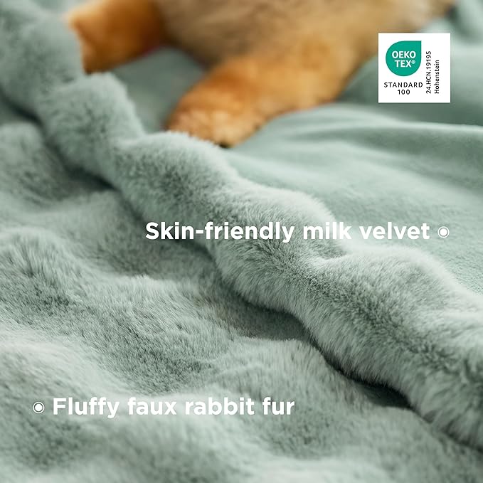 Bedsure GentleSoft Fluffy Faux Fur Blanket Twin Size, Fuzzy Soft Bubble Blanket for Couch, Faux Fur Decor for Home Living Room, Thick Furry Cozy Gifts for Women, Sage Green, 60x80 Inch
