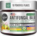 Puriya Clinically Proven Antifungal Cream for Skin Fungus, Extra-Strength Athletes Foot Cream Treatment, Jock Itch, Ringworm Treatment for Humans, Anti Fungal Itchy Skin Relief with Tea Tree Oil