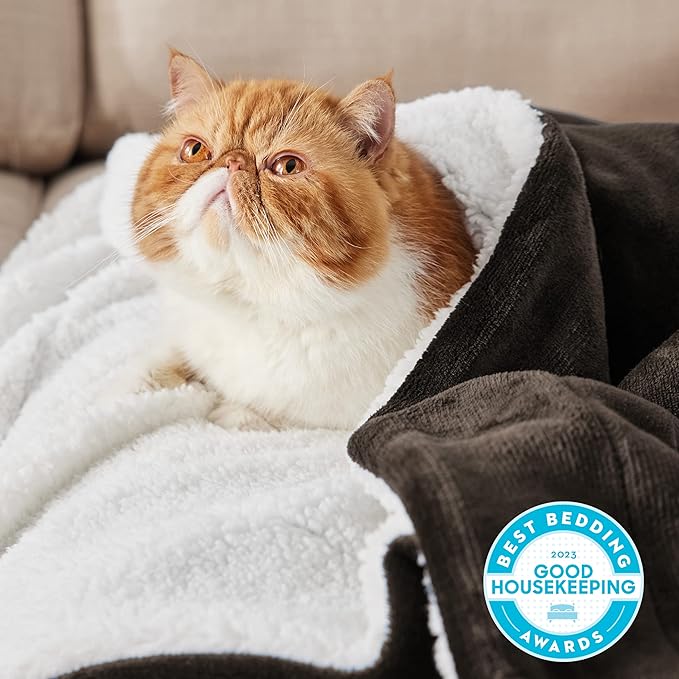 Bedsure GentleSoft Sherpa Fleece Blankets Queen Size for Bed - Thick and Warm Throw for Women and Men, Soft Fuzzy Plush Queen Blanket for Winter, Brown, 90x90 Inches