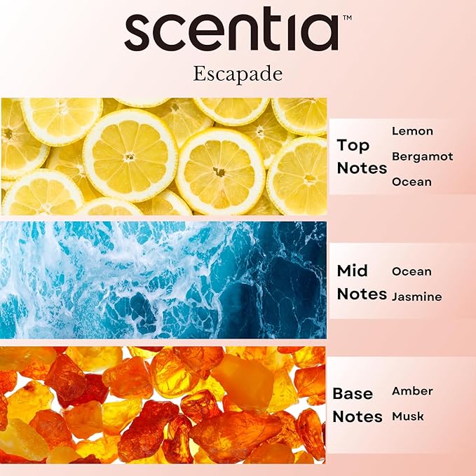 Scentia Hotel Diffuser Oil Inspired by 5-Star Hotel Scent - 20 mL 0.67 fl oz - Aromatherapy Fragrance Oil Inspired by 5 Star Hotel - Escapade, Thanksgiving Gift