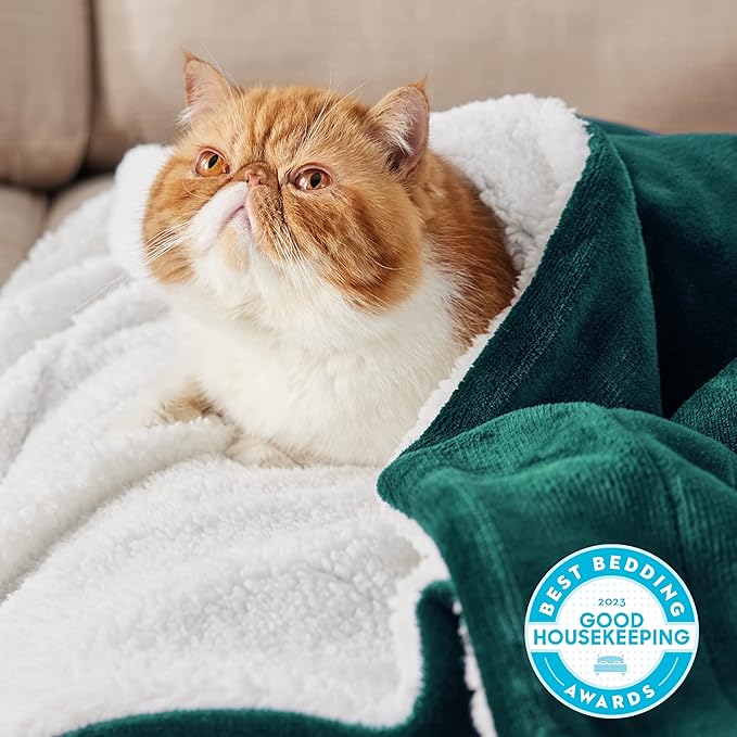 Bedsure GentleSoft Sherpa Fleece Throw Blanket Twin Size for Couch - Thick and Warm Throw for Women and Men, Soft Fuzzy Plush Twin Christmas Blanket for Winter, Forest Green, 60x80 Inches