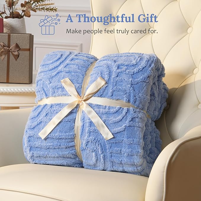Sherpa Fleece Adult Weighted Blanket Great for Sleep, 20 lbs Dual Sided Soft Fuzzy Heavy Blankets for Couch Bed Sofa, Cozy Warm Fluffy Arched Jacquard Throw for Winter (Blue, 60" x 80", 20 Pounds)