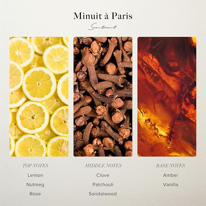 Scentiment Diffuser Oil - Minuit à Paris | Aromatherapy Home Fragrance | Inspired by Luxury Five Star Hotel Scents | Luxurious Scent with Notes of Amber, Sandalwood, Vanilla (50 mL)