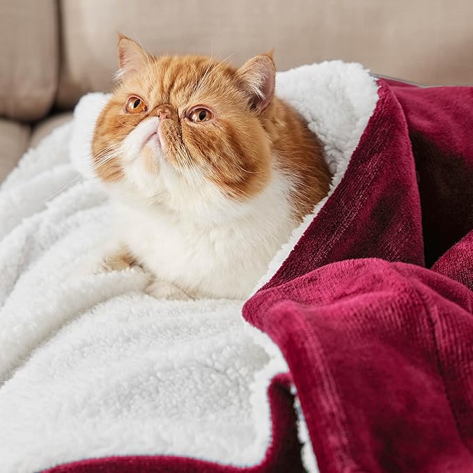 Bedsure GentleSoft Sherpa Fleece Blankets Queen Size for Bed - Thick and Warm Throw for Girls and Women, Soft Fuzzy Plush Queen Christmas Blanket for Winter, Red, 90x90 Inches